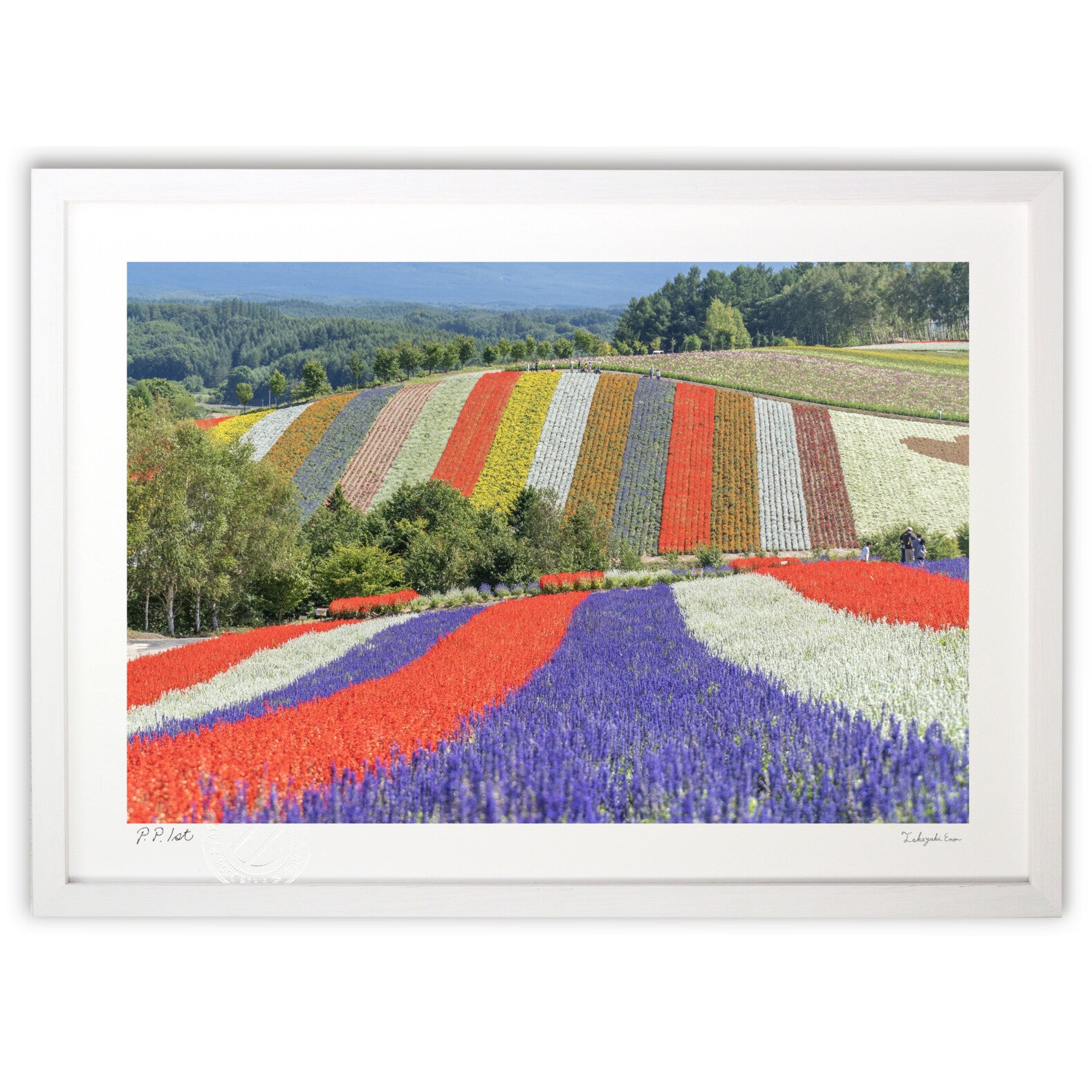 四季彩の丘 – 絵画や壁飾り販売｜風景投稿販売あゆわら(R)