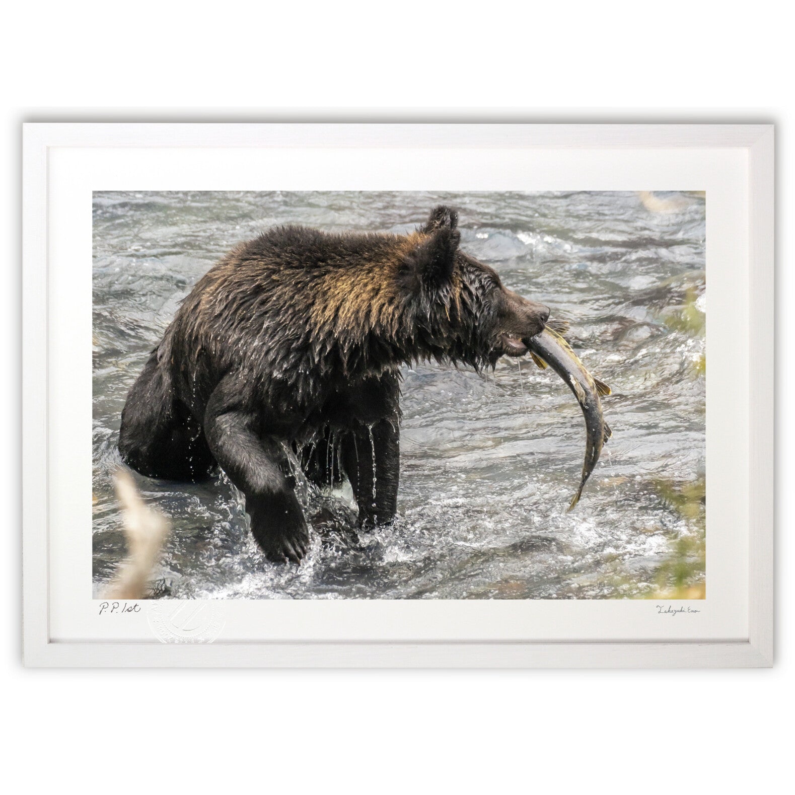 絵画。原画【ビールと熊】 熊と鮭 – 絵画や壁飾り販売｜風景投稿販売あゆわら(R)
