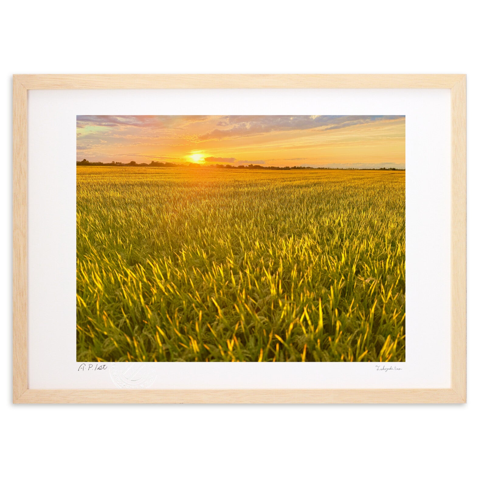 黄金色の草原 – 絵画や壁飾り販売｜風景投稿販売あゆわら(R)