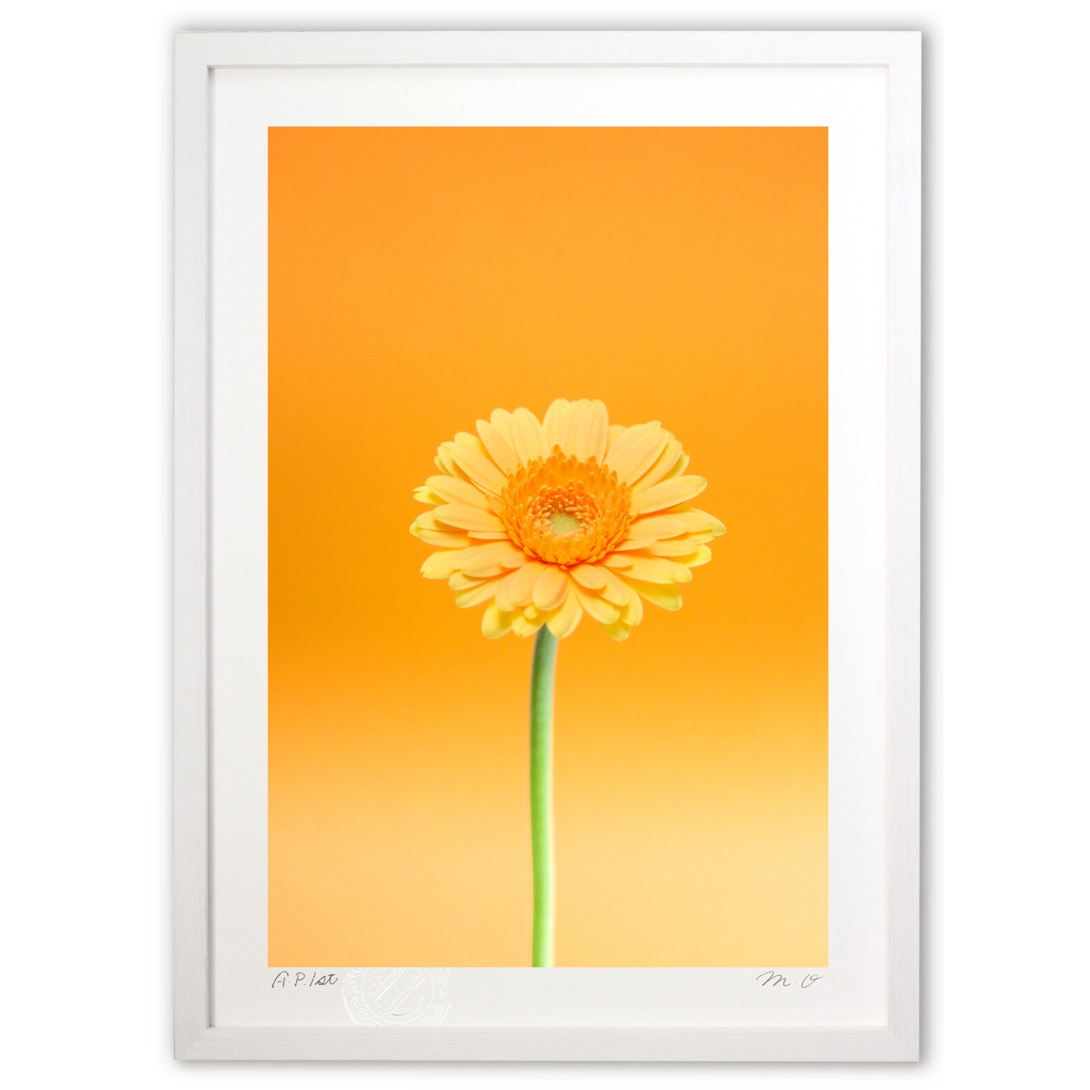 オレンジのガーベラ – 絵画や壁飾り販売｜風景投稿販売あゆわら(R)