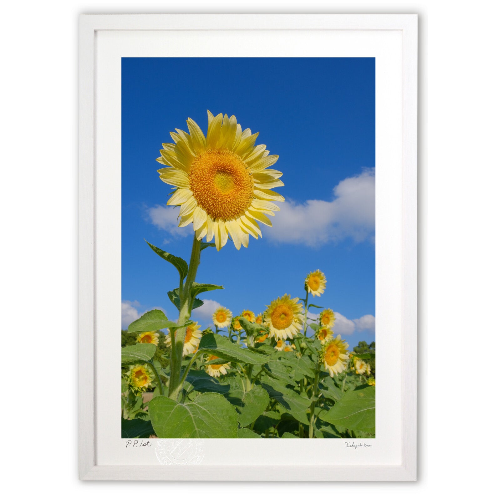 青空と太陽 – 絵画や壁飾り販売｜風景投稿販売あゆわら(R)