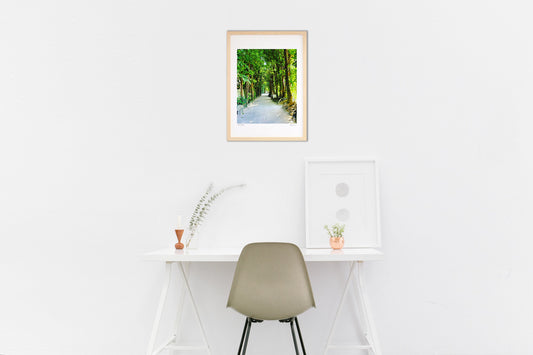 備瀬のフクギ並木