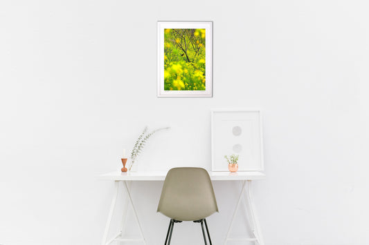 菜の花てんこ盛り