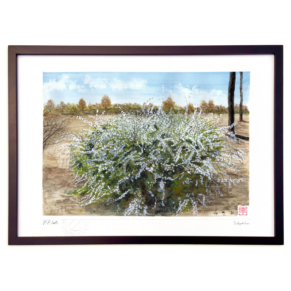 Spiraea