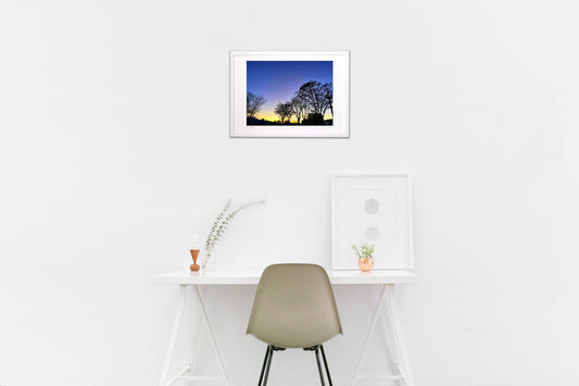 影絵のような木と空