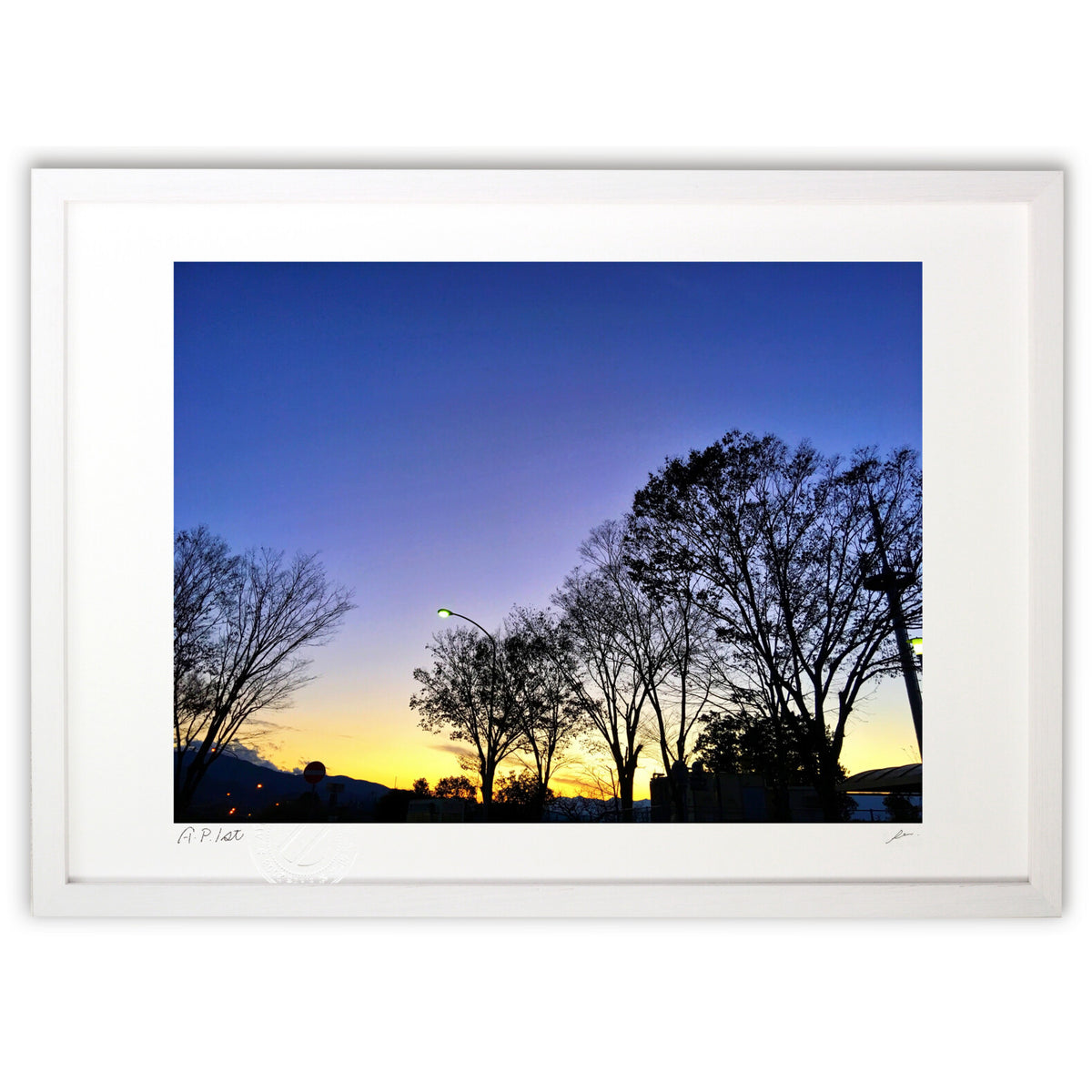 Silhouette of trees and sky