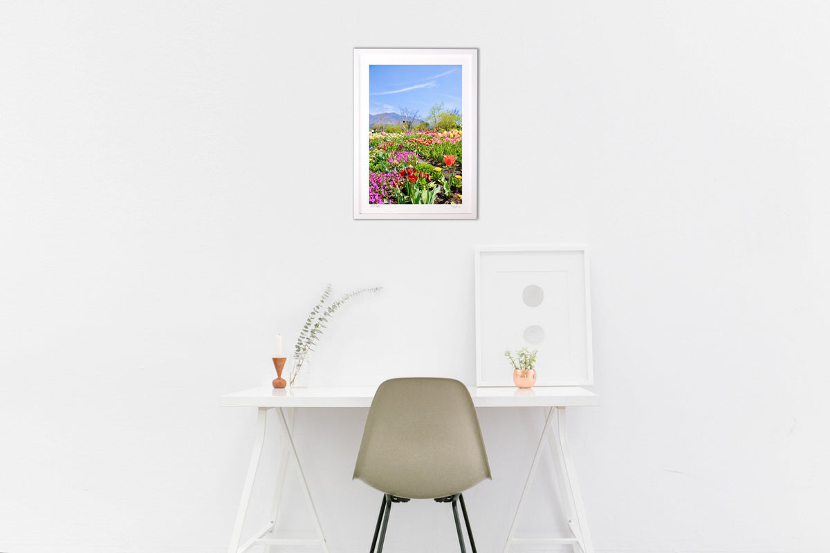 Highland flower fields