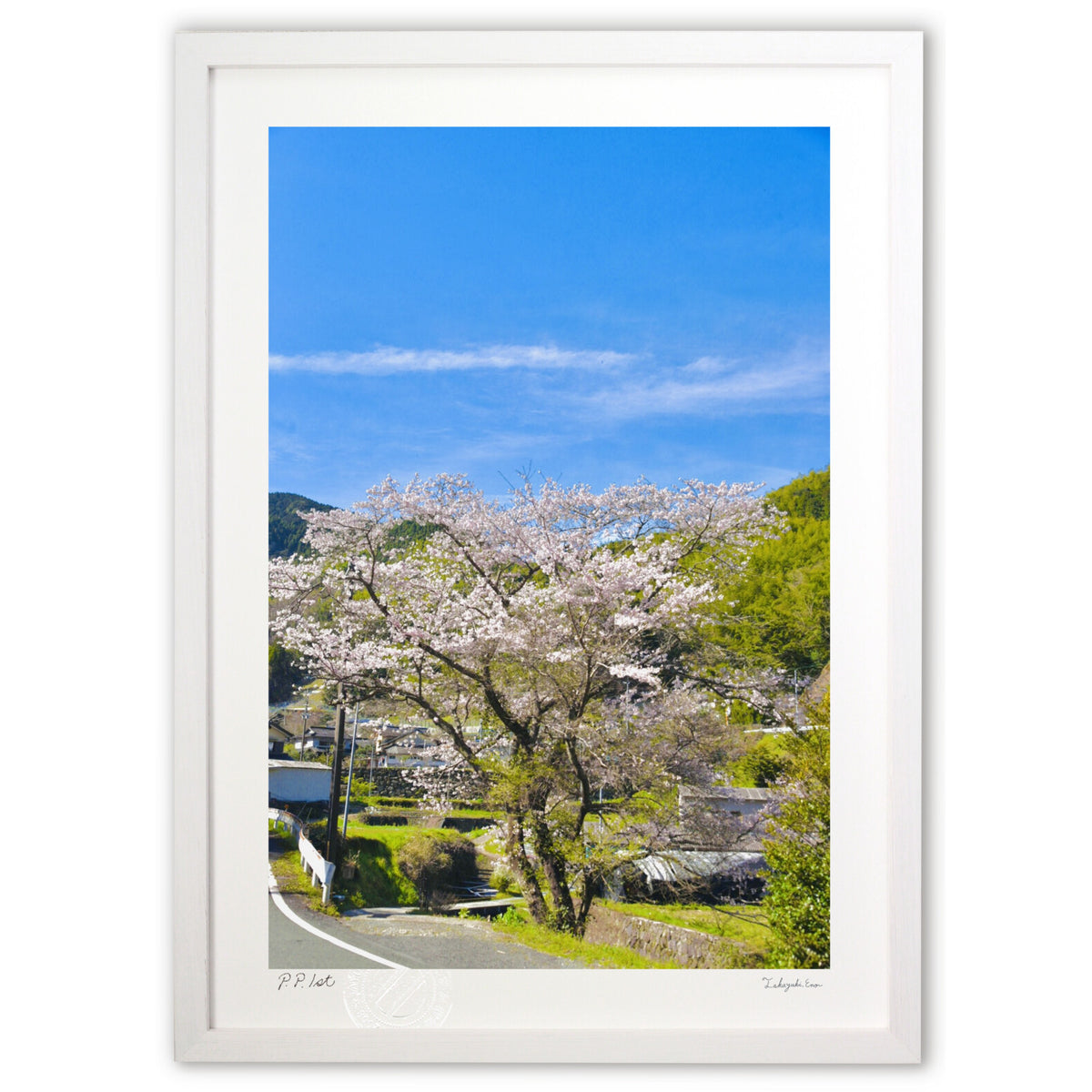 Spring in Satoyama