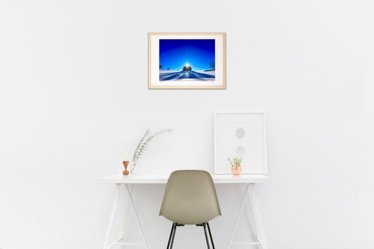 真冬のマイルドセブンの木