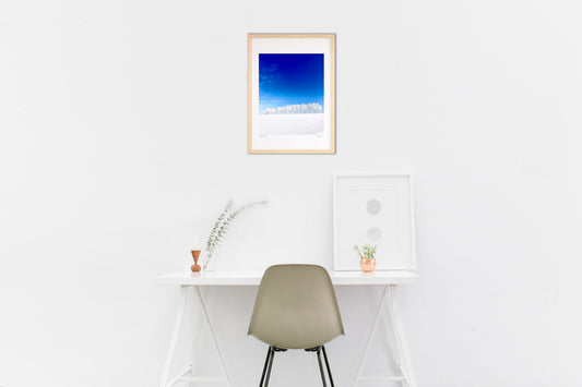 霧氷の白樺並木