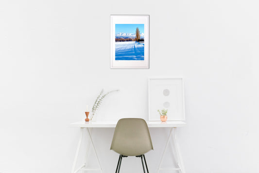 十勝岳連峰とケンとメリーの木