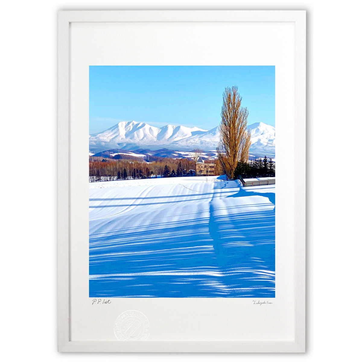 Tokachi Mountain Range and Ken and Mary Tree