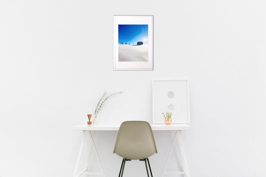 純白の絨毯とマイルドセブンの木