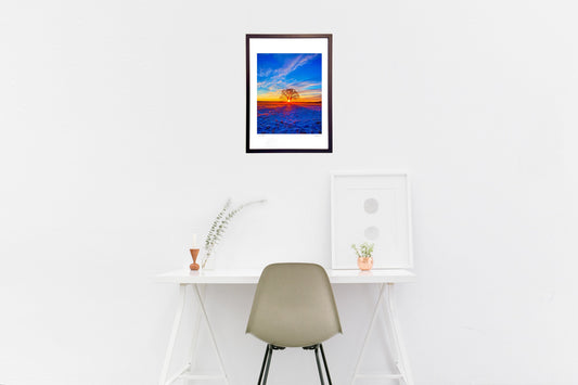 ハルニレの木からの御来光