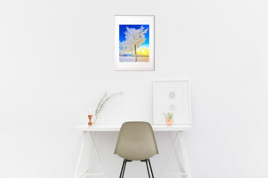 上富良野で見た霧氷と御来光