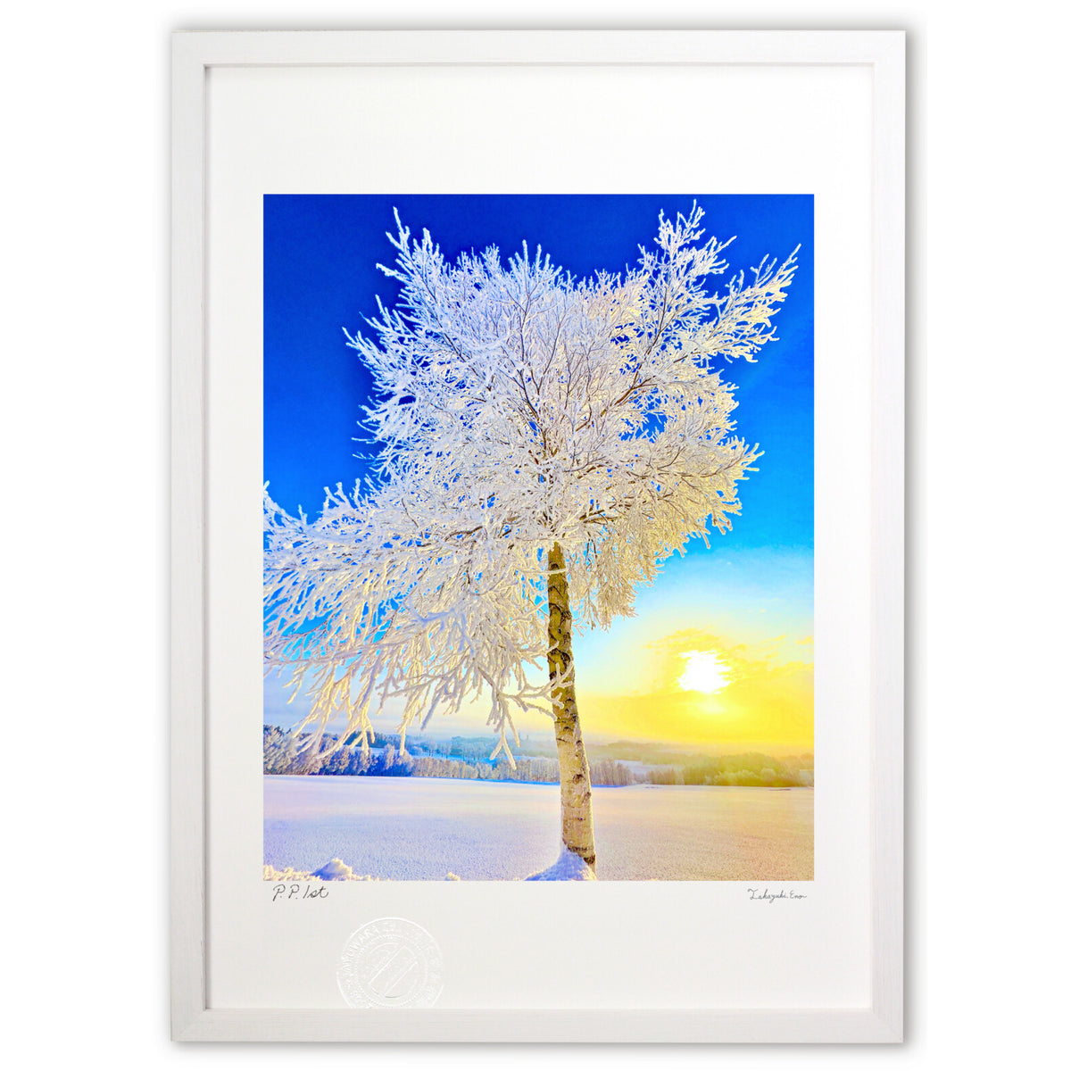 Hoarfrost and sunrise seen in Kamifurano