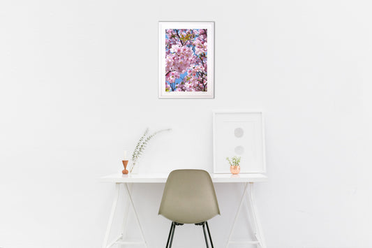 良い天気と桜の花