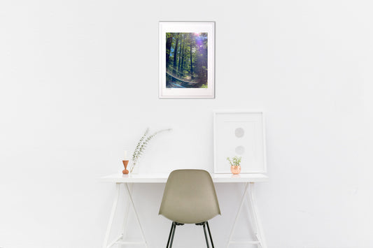 Photo 『上高地の散策道』