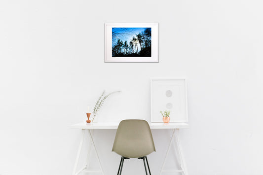 Photo 『大町のペンションの庭』