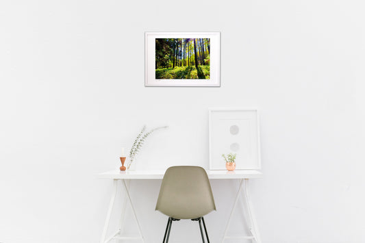 Photo 『安曇野の森』