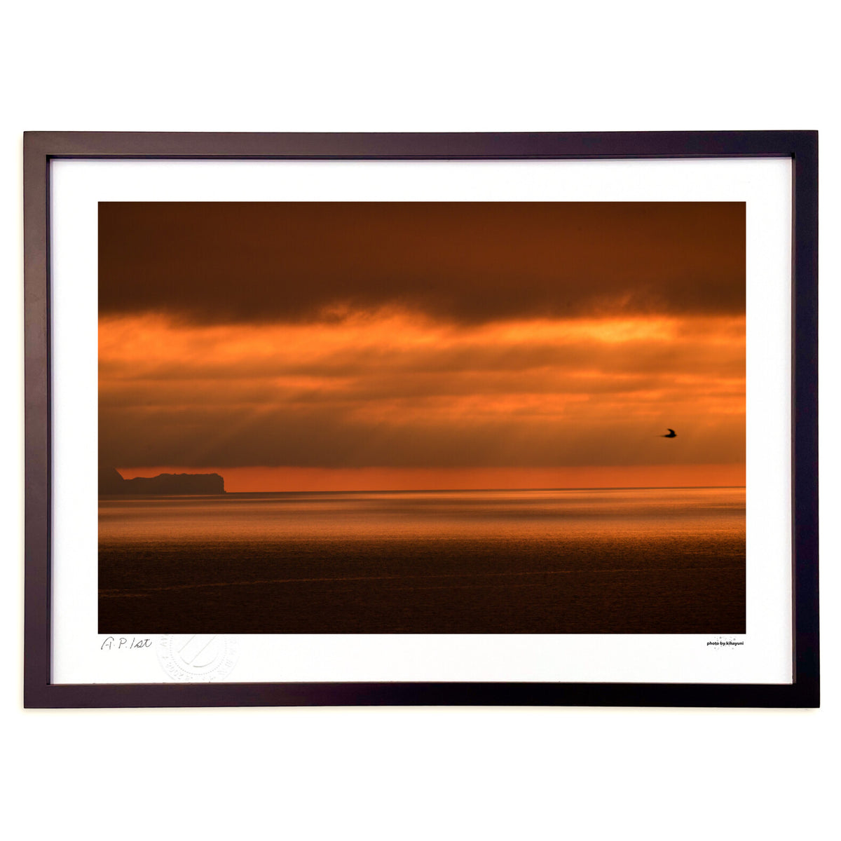 Orange Flight