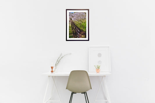 吊り橋と満開桜