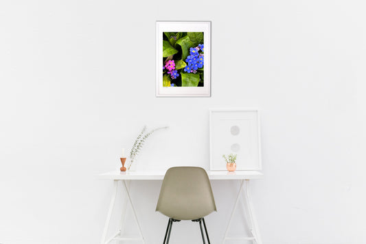 青とピンクの共演