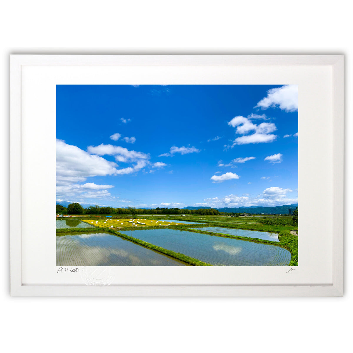 Photo 『空と田んぼ』