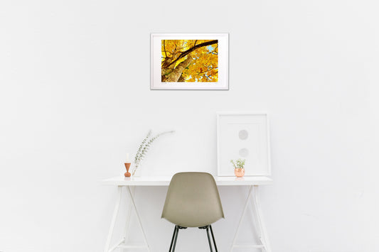 Photo 『秋の軽井沢にて』