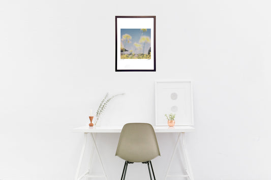 ポラロイド 菜の花の向こう