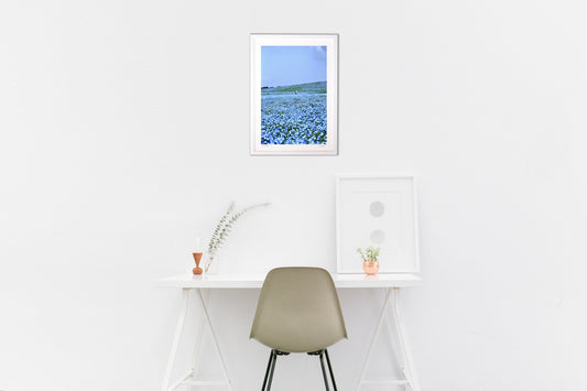 ネモフィラ畑をさるくⅡ