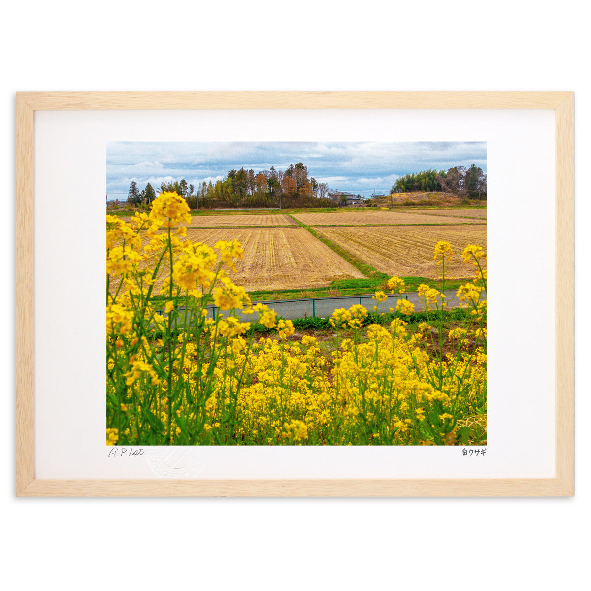 countryside