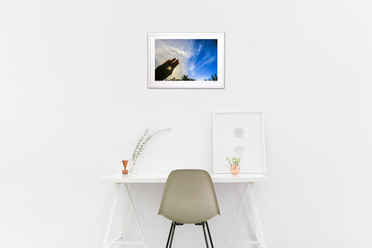 渦まく龍神雲とハロとわたし