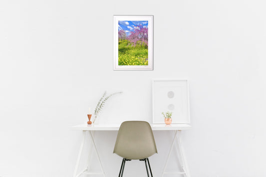 菜の花とさくら