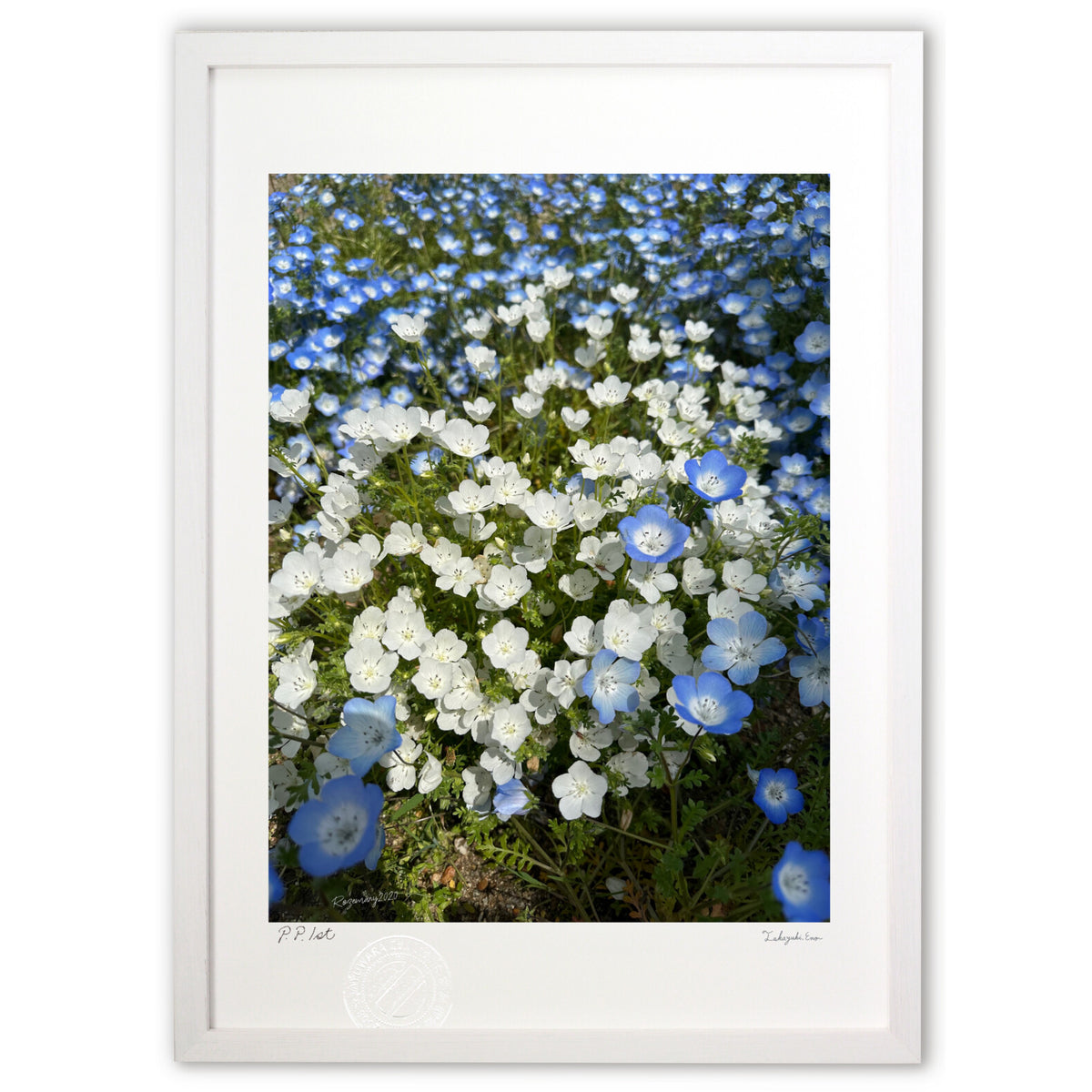 Small Flower Play