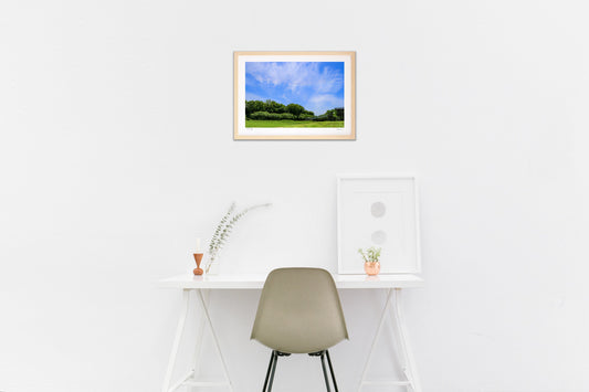 虹色の龍神3柱 Rainbow Dragon God