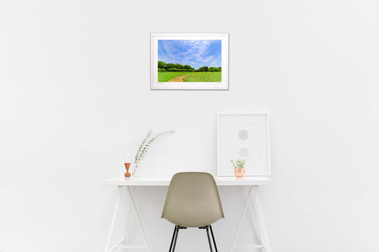 虹色の龍神と蕎麦の花畑 Rainbow Dragon God