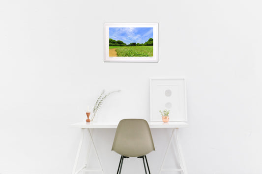 虹色の龍神と蕎麦の花畑2 Rainbow Dragon God