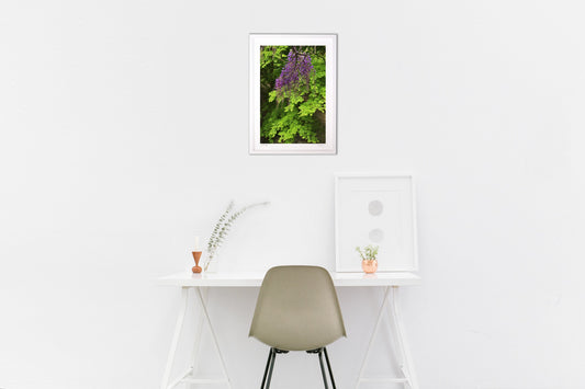 森の中の藤の花