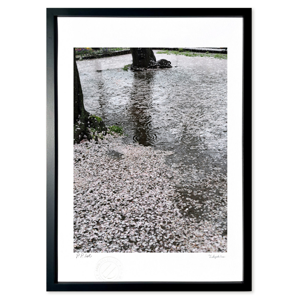 春の雨