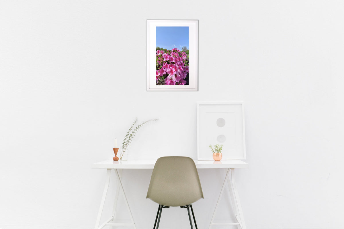 Blue sky and azalea