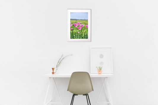 野に咲くチューリップ2