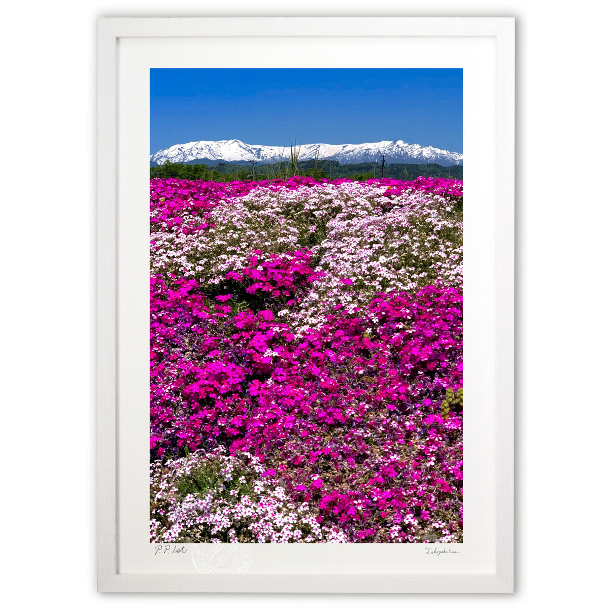 Spring in Aizu