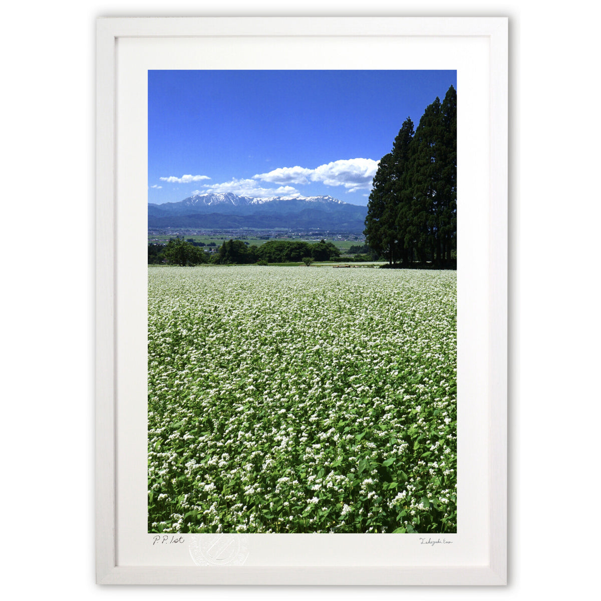 Summer in Aizu