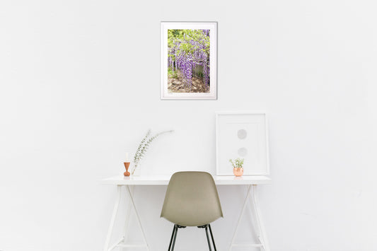 ひっそりと咲く藤の花