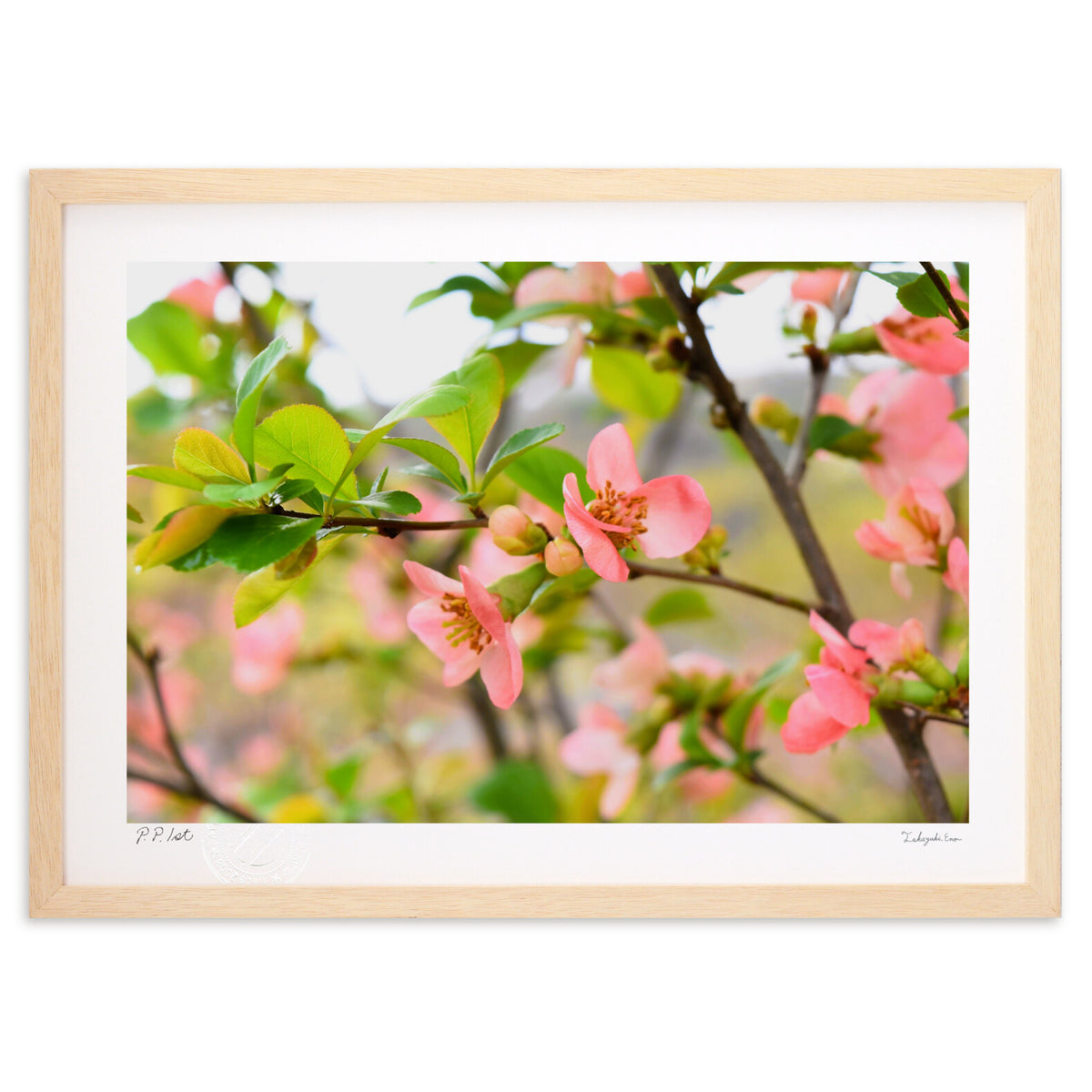 spring color