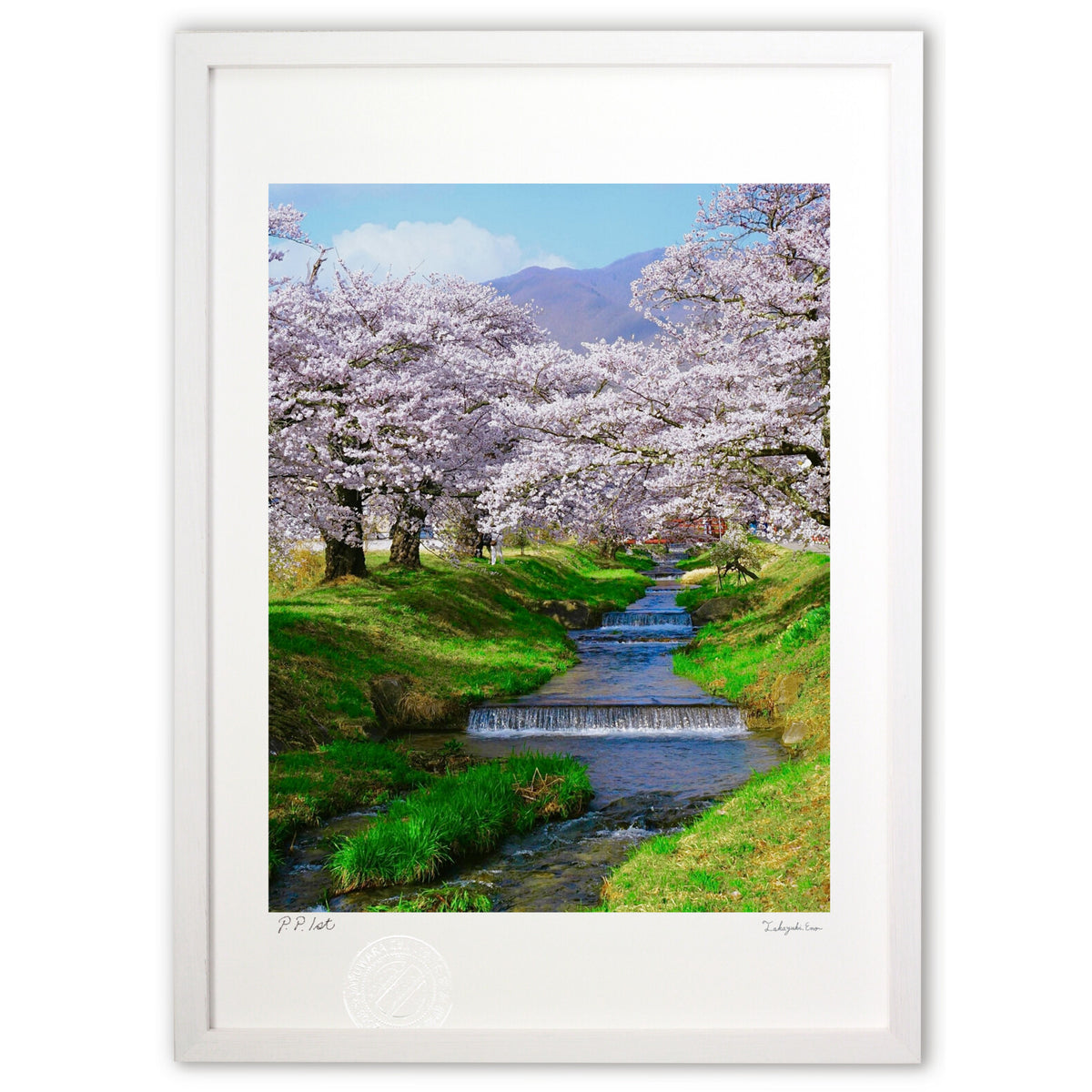 Spring arrives in the snowy country