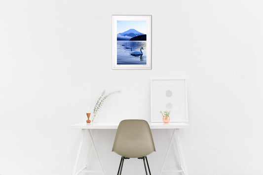 フォーメーション