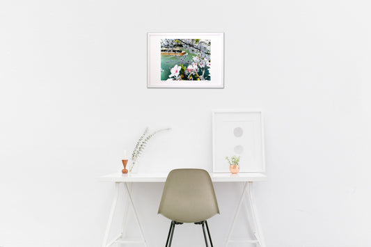 Spring in Kyoto, cherry blossoms and spring water