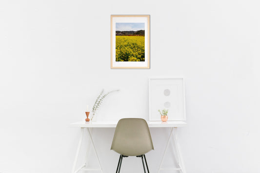 Yellow road in spring